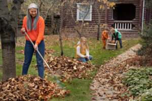 Garden Clearance